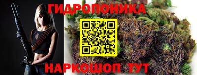 ГАЛЛЮЦИНОГЕННЫЕ ГРИБЫ Ковров